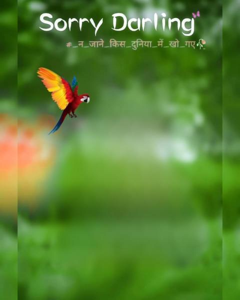 Sorry Darling Photo Editing Background HD Free