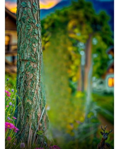 Garden Photo Editing Background Images Free