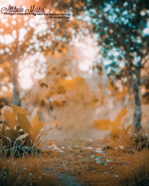 Attitude CB Photo Editing Background Download