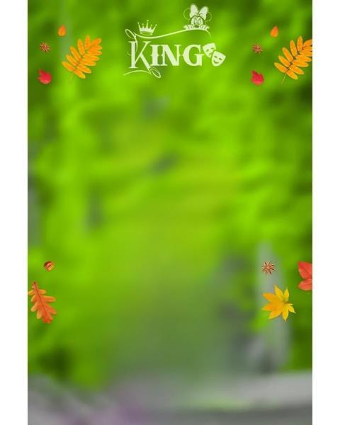 Ling Photo Editing Background HD