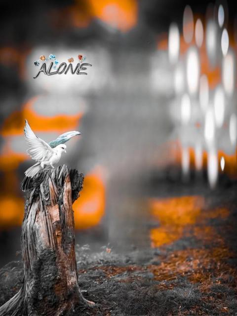 Alone Photo Editing Background HD Free