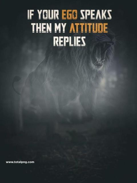 Ego Lion Cb Photo Editing Background Free