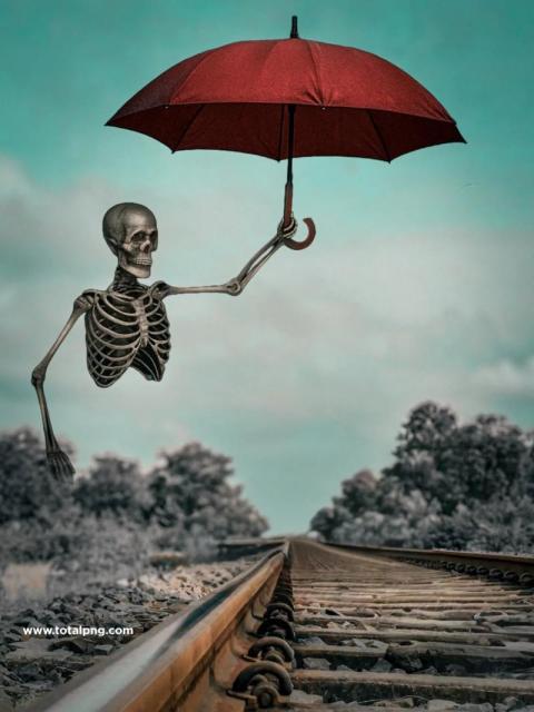 Skull Cb Photo Editing Background Free